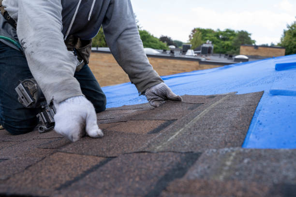 Best Roof Moss and Algae Removal  in Roebling, NJ